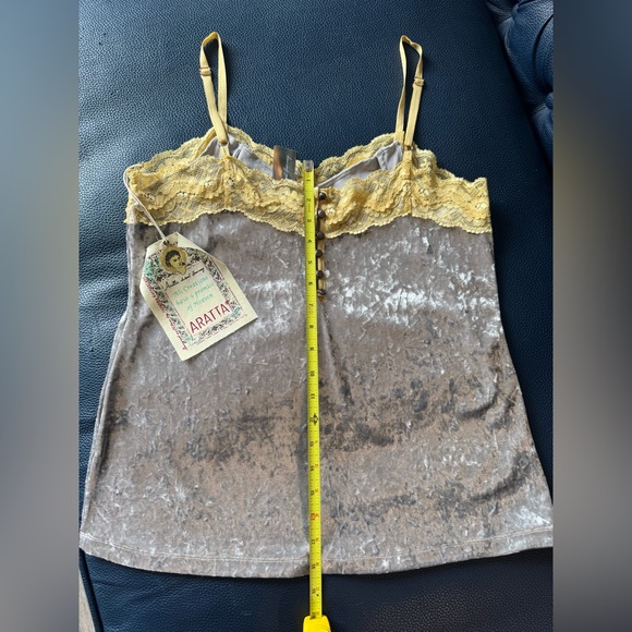 Aratta Silver Velvet Lace Cami with Cream Trim - Picture 6 of 7